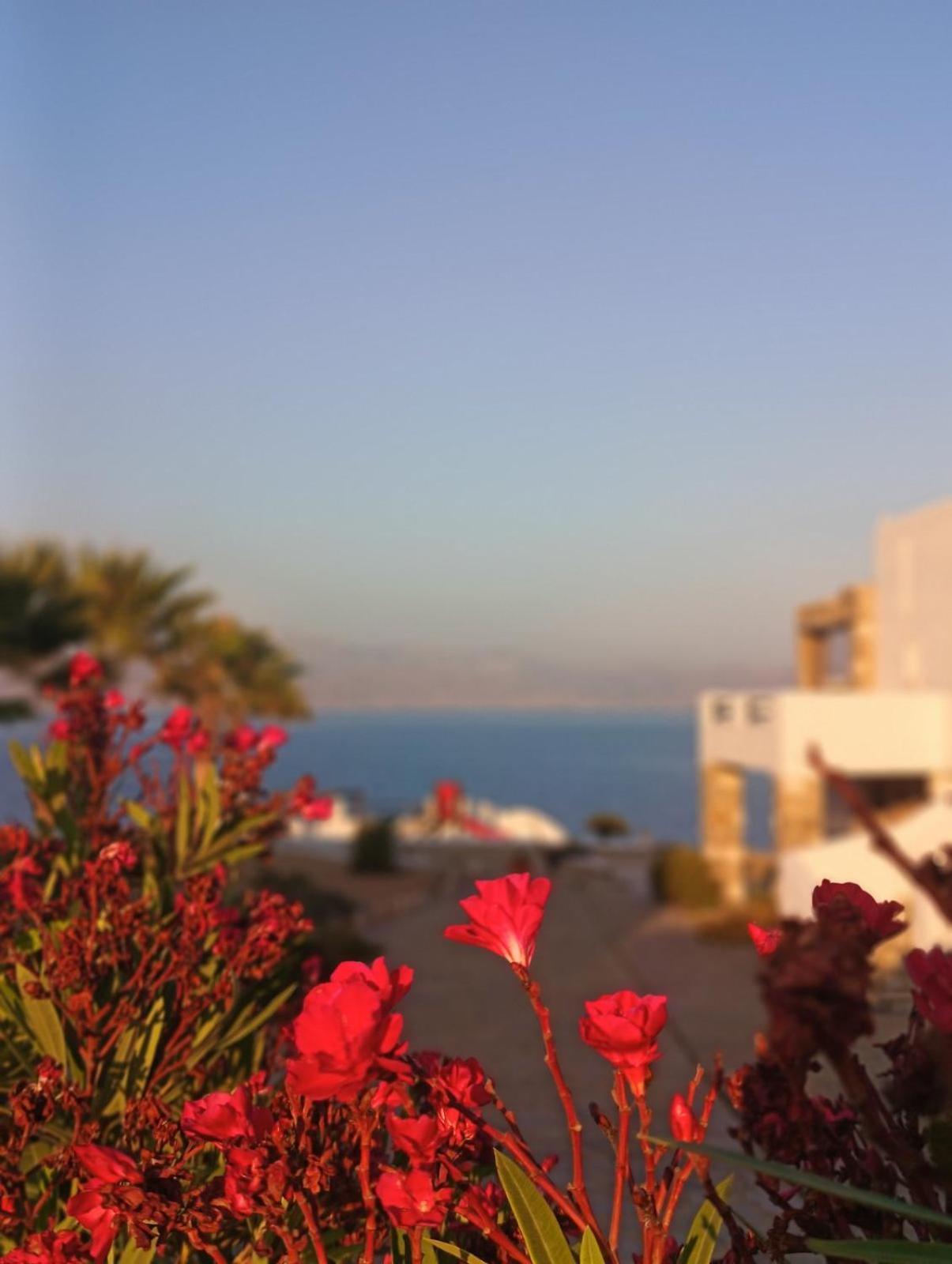 Апартаменты Aura Paros Логарас Экстерьер фото